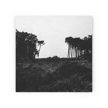 Load image into Gallery viewer, [MID POINT TREE] Wood Canvas

