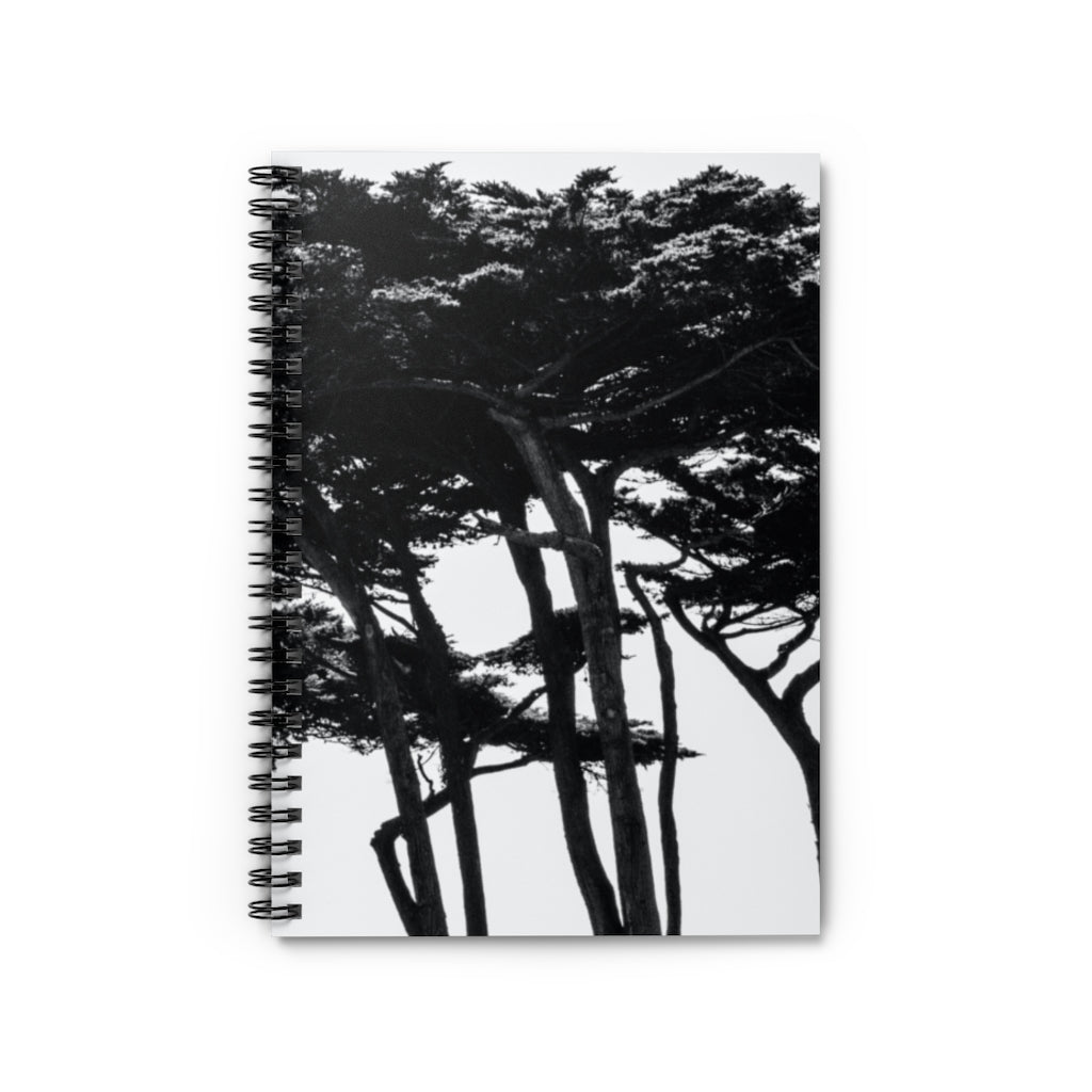 [TREE OF SAN FRAN]  Spiral Notebook - Ruled Line