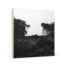 Load image into Gallery viewer, [MID POINT TREE] Wood Canvas
