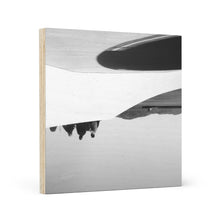 Load image into Gallery viewer, [MARINA SHORELINE] Wood Canvas
