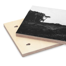 Load image into Gallery viewer, [MID POINT TREE] Wood Canvas
